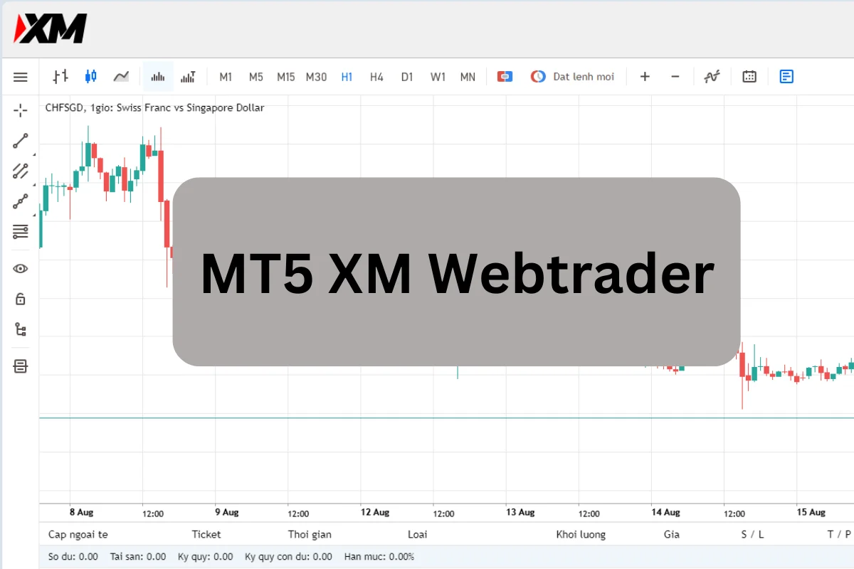 Trade Smarter with MT5 XM WebTrader: Fast, Secure, and Simple