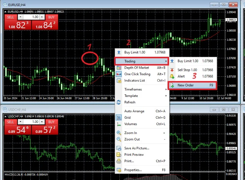 Placing Orders in MT4-1