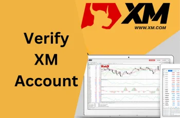 Verify XM account - How to download account verification documents