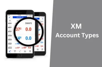 Compare XM account types and which account should you open?