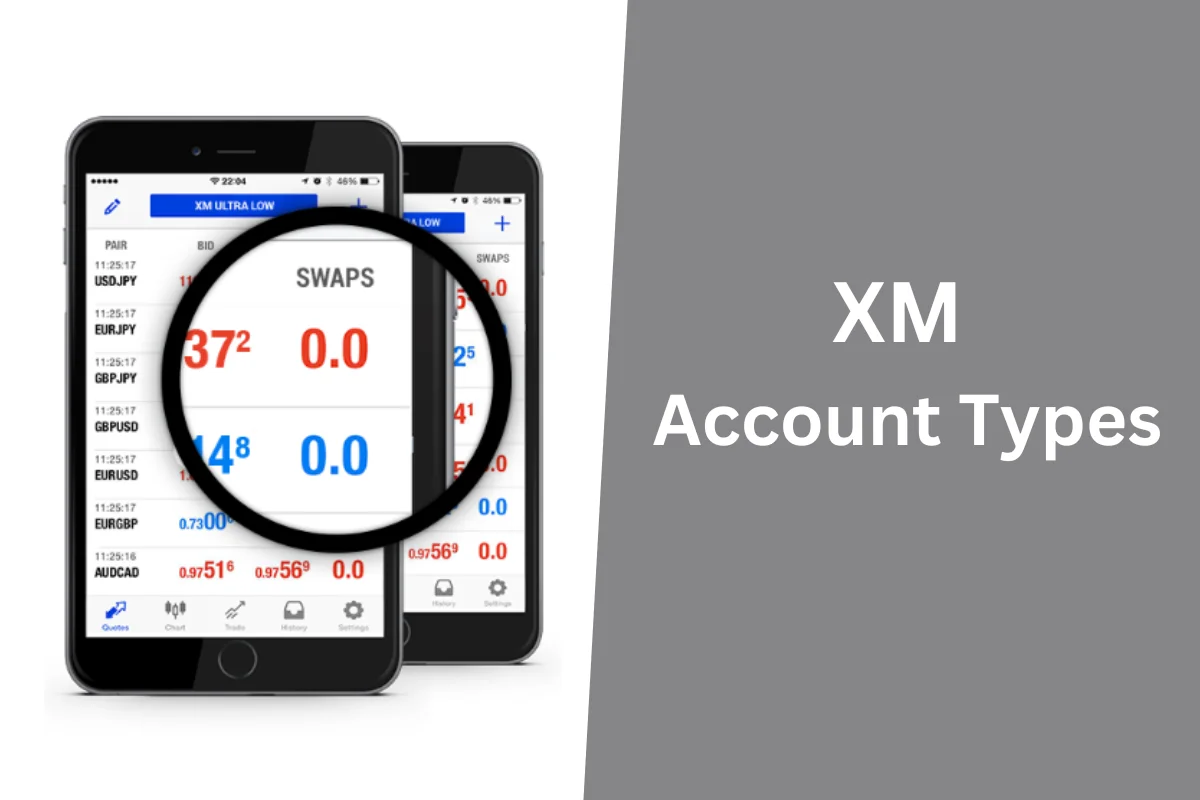 Compare XM account types and which account should you open?